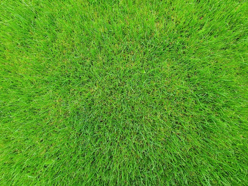 Turfing & Lawns